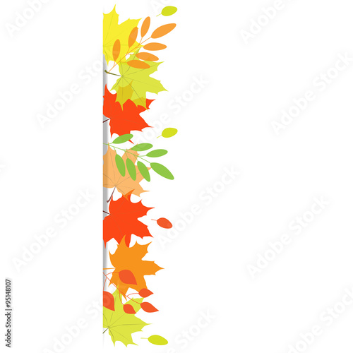 autumn background