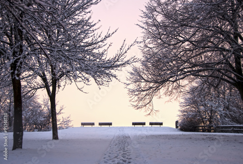 Snowy Park Bench in Winter