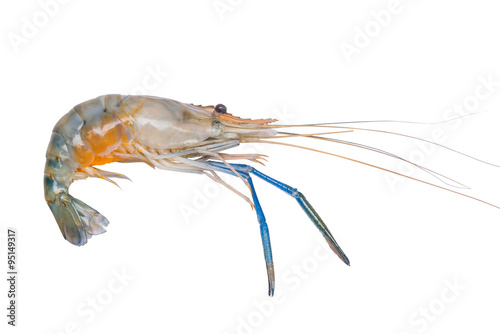 Fresh prawn or shrimp isolated on white background