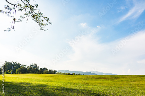 Green field and blue sky with white clouds