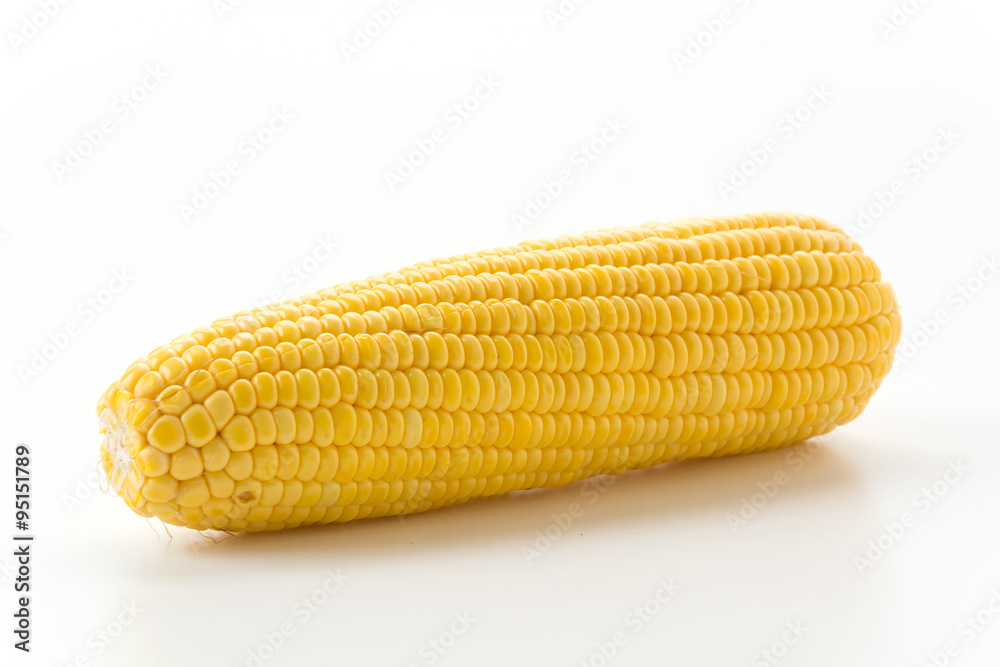 fresh corn fresh corn
