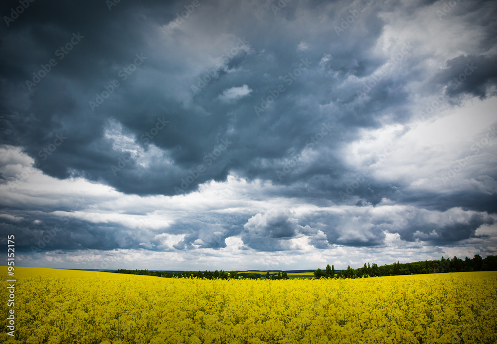 Summer Landscape with Wheat Field and Clouds Summer Landscape with Wheat Field and Clouds
