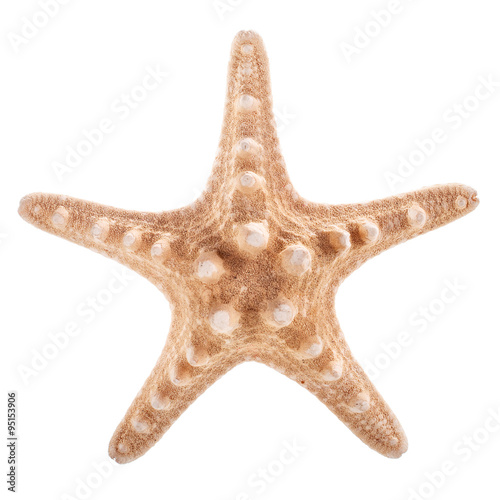 Sea Shell in the shape of star isolated