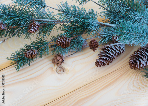 Christmas background with fir branches