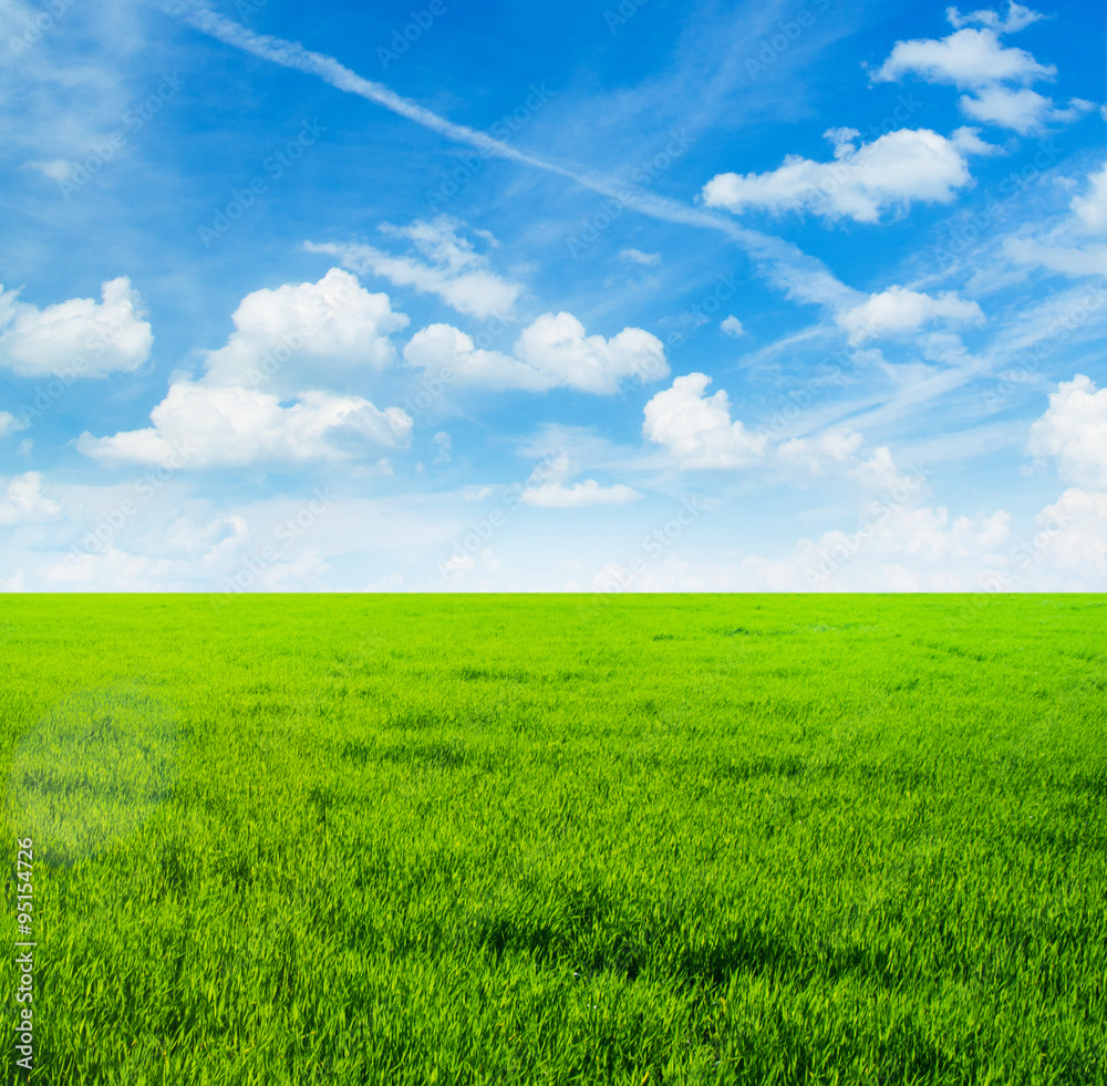 Background image of lush grass field under blue sky