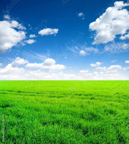 Background image of lush grass field under blue sky © ZaZa studio