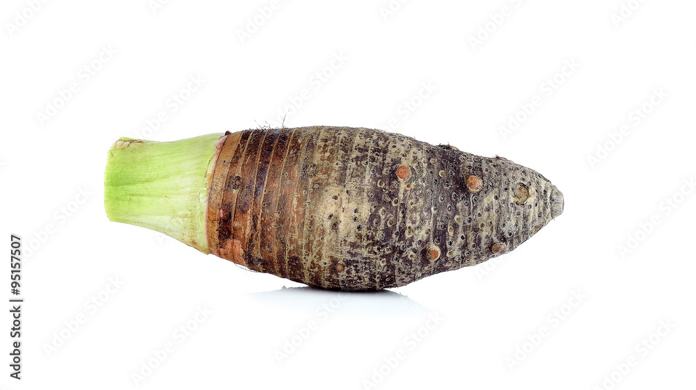 taro isolated on white background taro isolated on white background