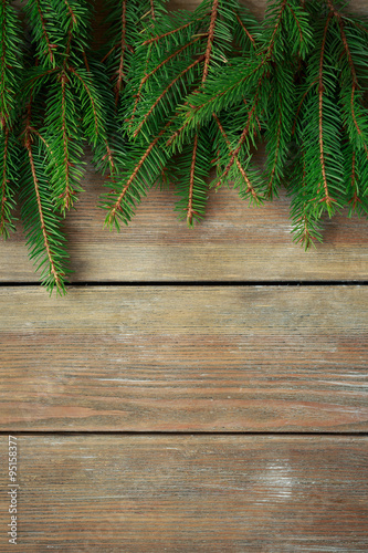 fresh green spruce on wooden boards