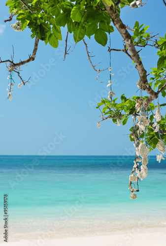 Fototapeta Naklejka Na Ścianę i Meble -  beautiful tropical sea