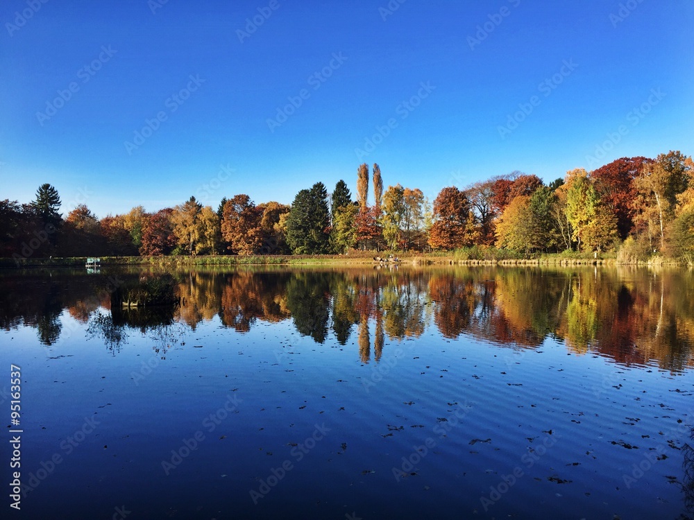 Fototapeta premium See vor Wald im Goldenen Herbst