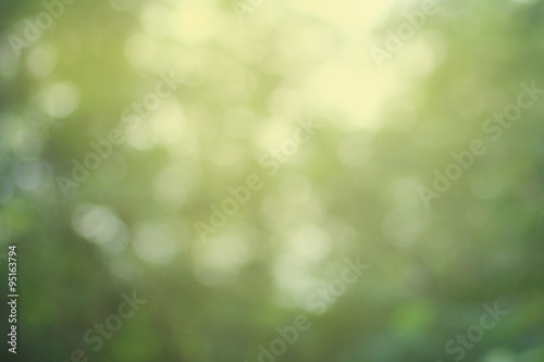 abstract background green wallpaper design blur texture blurred soft color