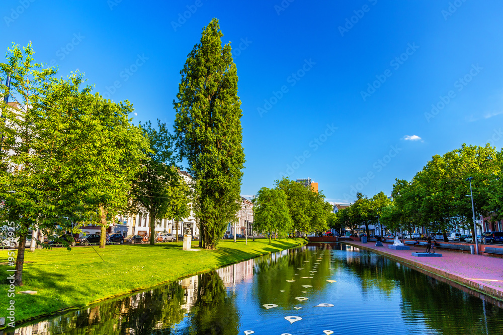 Obraz premium Pond in a park - Rotterdam, the Netherlands