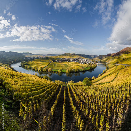 Mosel bei Trittenheim
