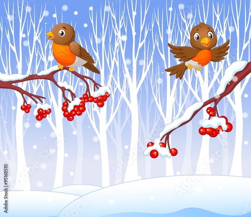 Cartoon funny robin bird on the berry tree with winter background