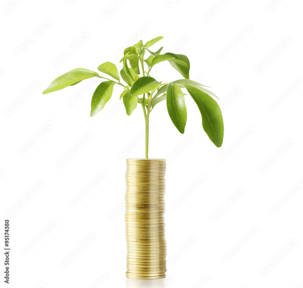 Investment concept, Coins  market.