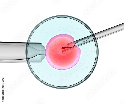 artificial insemination photo