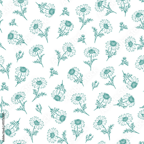 Herb chamomile vector pattern