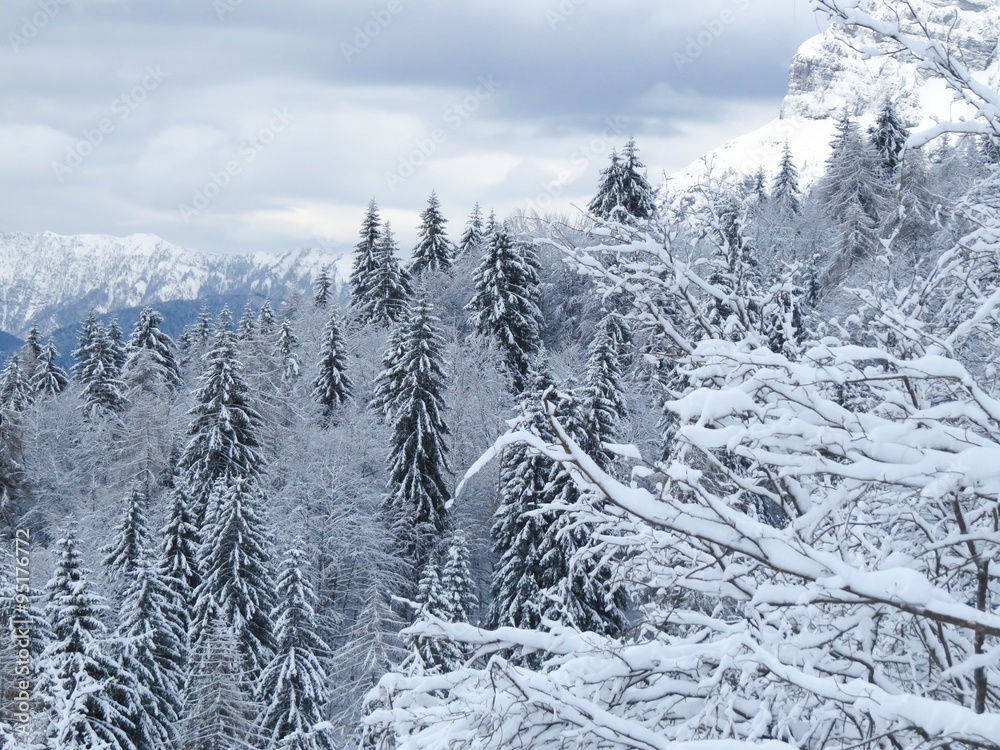 Fototapeta premium Snow and mountain