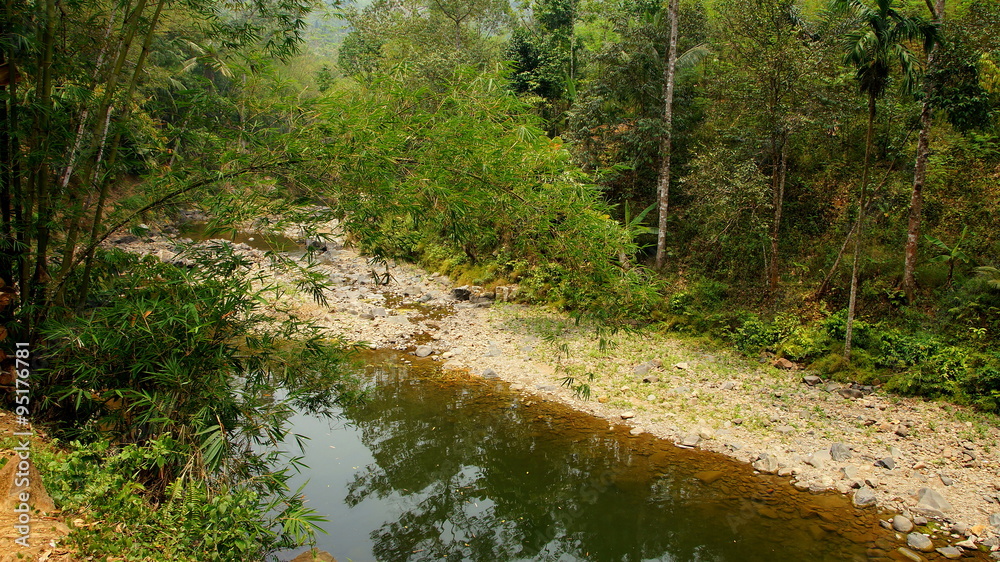 Obraz premium romatischer Fluss durch Dschungel von West-Java