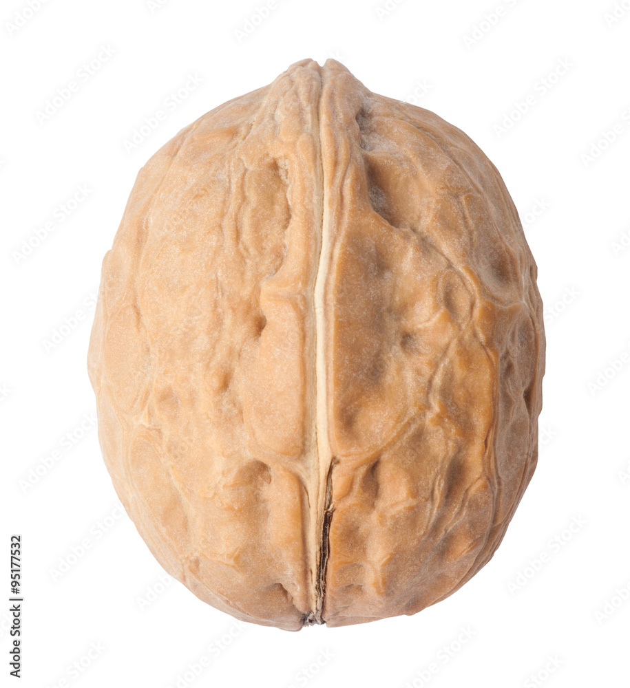 Single walnut isolated on white Single walnut isolated on white