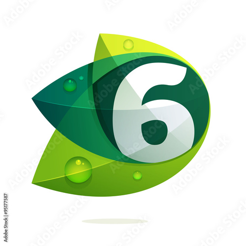 Number six with green leaves and dew drops.