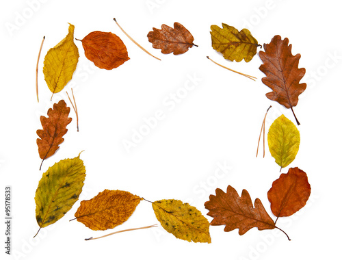 Autumn frame made of colorful leaves isolated on white background
