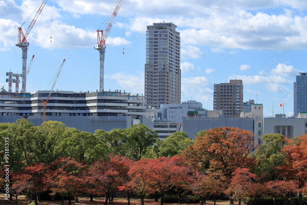 Fototapeta premium 大阪城公園