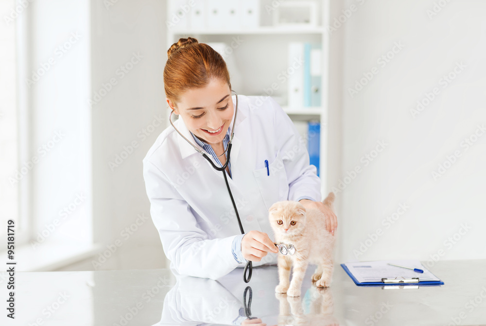 happy veterinarian with kitten at vet clinic happy veterinarian with kitten at vet clinic
