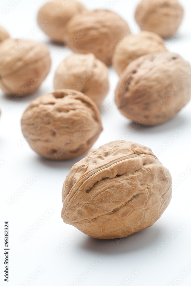 Fresh walnuts on a white background Fresh walnuts on a white background