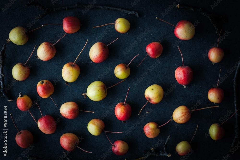 Small apples with twigs on the dark background