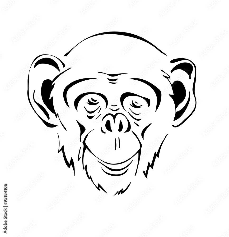 head the chimpanzee  stylized illustration