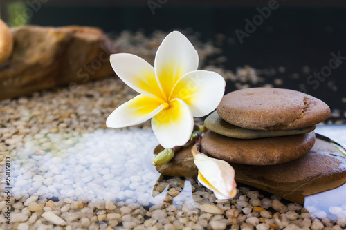 Touching nature with relaxing and peaceful with flower plumeria or frangipani decorated on water and pebble rock in zen style for spa meditation mood