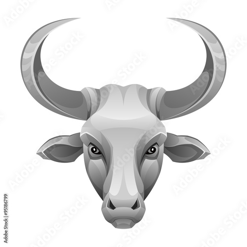 Bull head