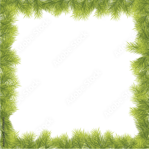 Christmas Fir Tree Border