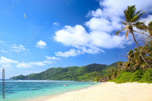 Tropical beach with palms and sand in Mahe Island, Seychelles