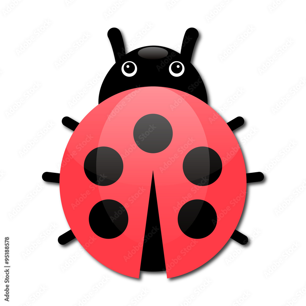 Obraz premium テントウムシ