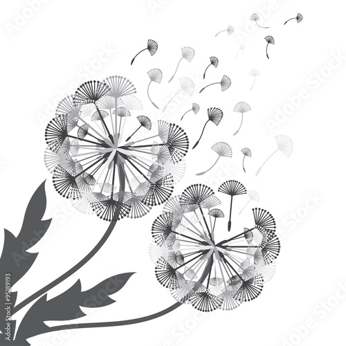 Illustration of concept dandelion. Vector