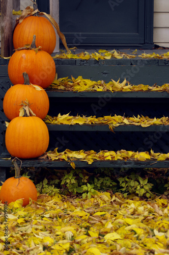 stack of pumpkins on stairs with leaves  photo