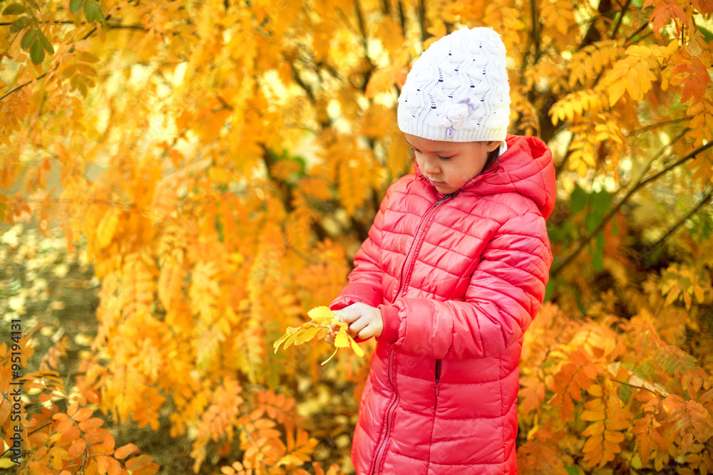 Little girl playing with autumn leaves Little girl playing with autumn leaves