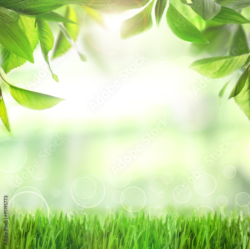 Spring or summer season abstract nature background with green grass and leaves