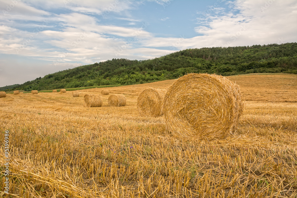 Beautiful landscape with straw bales on a field and hills in the background