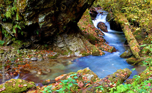 Beautiful landscape with river and fallen leaves in autumn in th