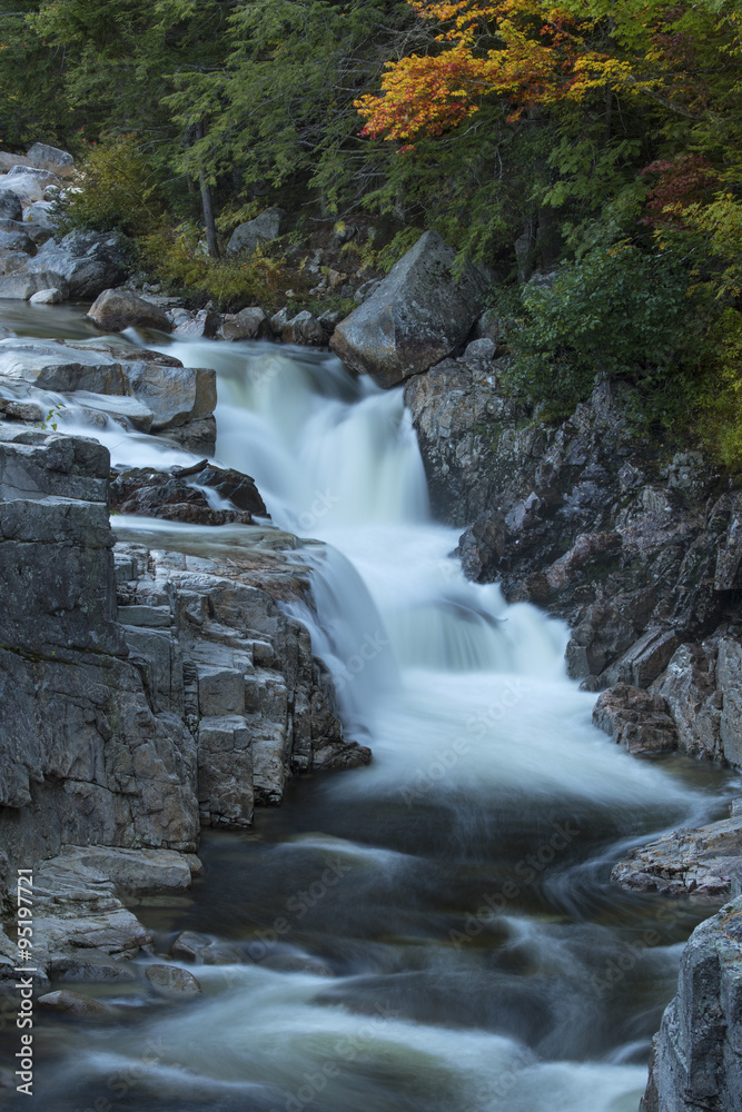 Obraz premium Vertical view of foliage and Swift River waterfall, New Hampshire.