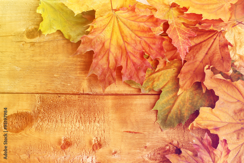 Autumn leaves on wooden background Autumn leaves on wooden background