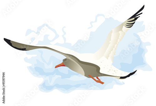 Mouette volant avec le vent