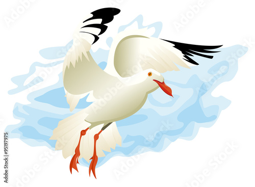 Mouette volant contre le vent