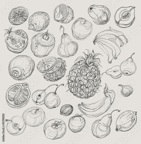 Set of fruits. Freehand drawing.