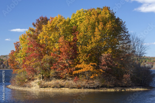 Island of vibrant fall foliage in lake, Mansfield Hollow, Connecticut.
