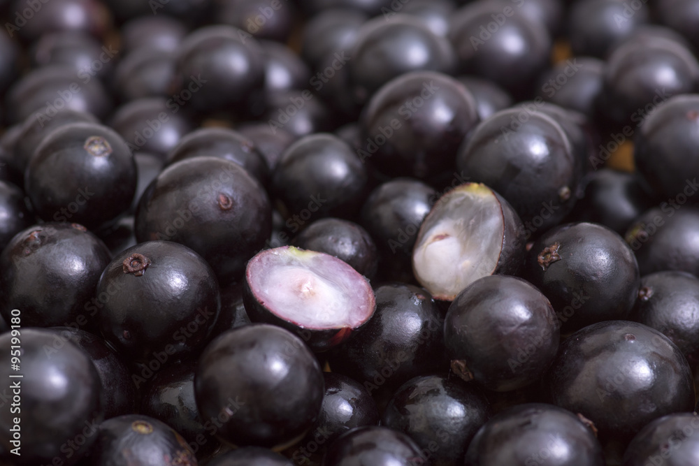 Jabuticaba fruit closeup Jabuticaba fruit closeup