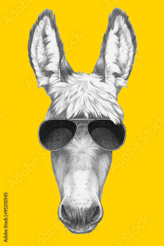 Canvas Print Portrait of Donkey with sunglasses. Hand drawn illustration.